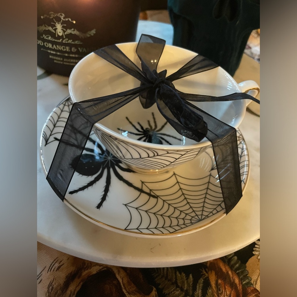 PARK CHATEAU NWOT Spider & Web Teacup And Saucer Set White & Black W/Gold Trim